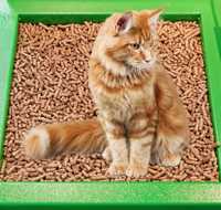 Peleți pentru creare așternut animale de companie: pisici