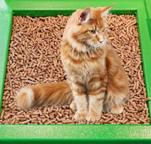 Peleți pentru creare așternut animale de companie: pisici