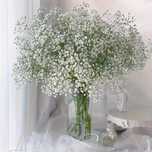 Flori artificiale Gypsophilla