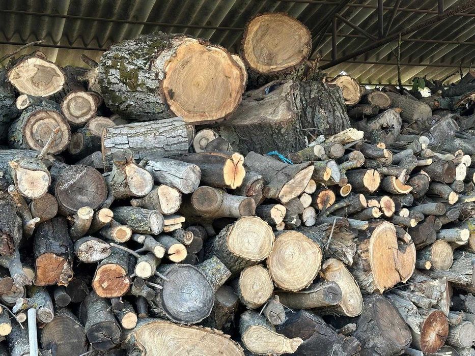 Lemne de foc – 500 lei/tona