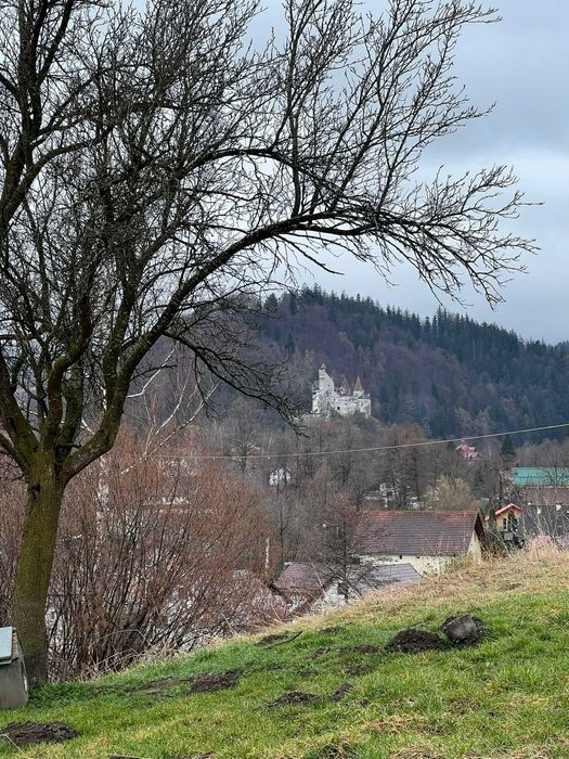 Vand Teren Bran | Predelut | Brasov | Toate utilitatile |