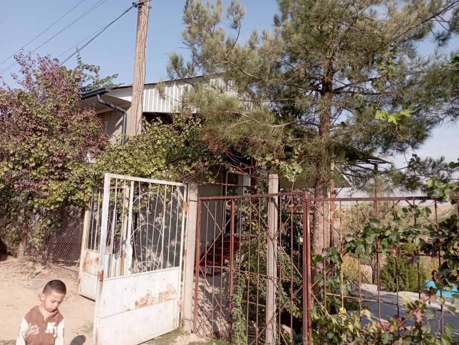 Dacha sotiladi 12 soʻtiq