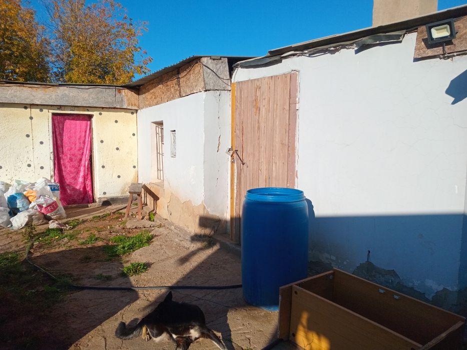 Продам дом с большим участком земли.