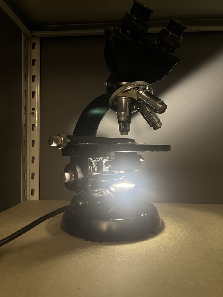 Microscop binocular Carl Zeiss