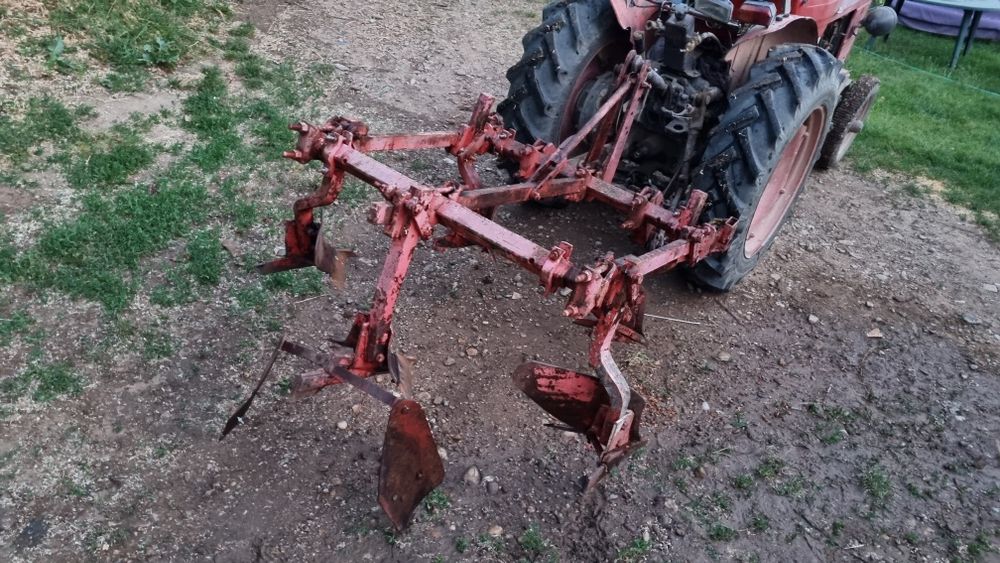 Plug de vie - 5 cormane