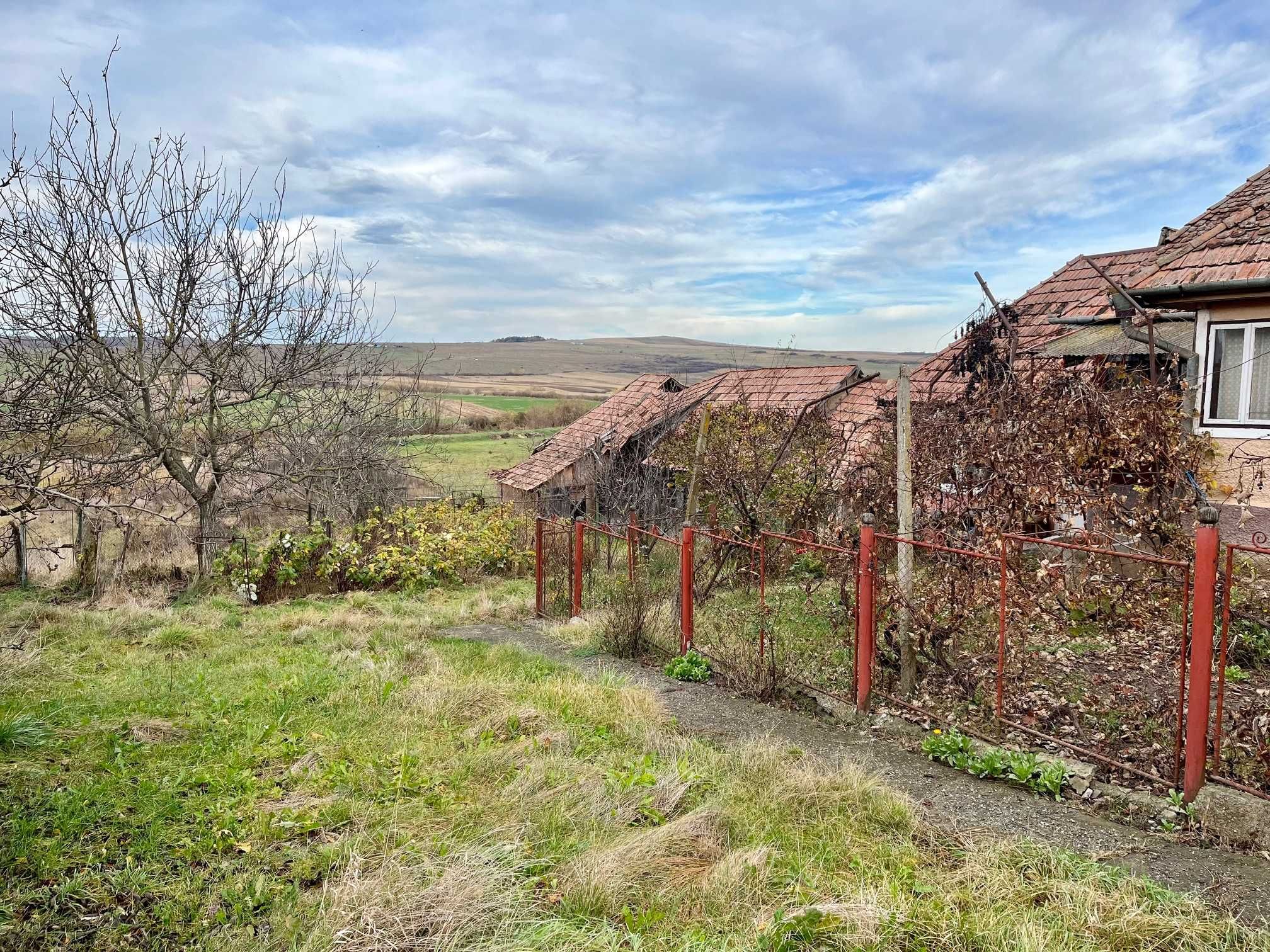 Vand casa particulara cu teren aprox. 42 ari si gradina