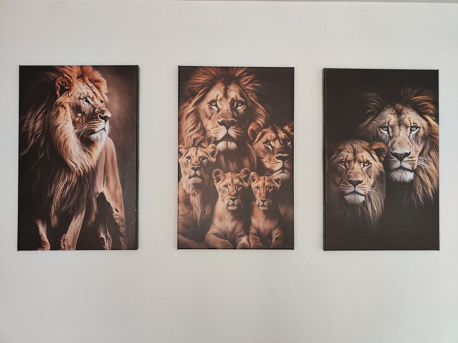 Tablouri canvas 50 ron