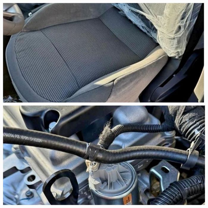 Coblt‼️Notarius Bonus‼️