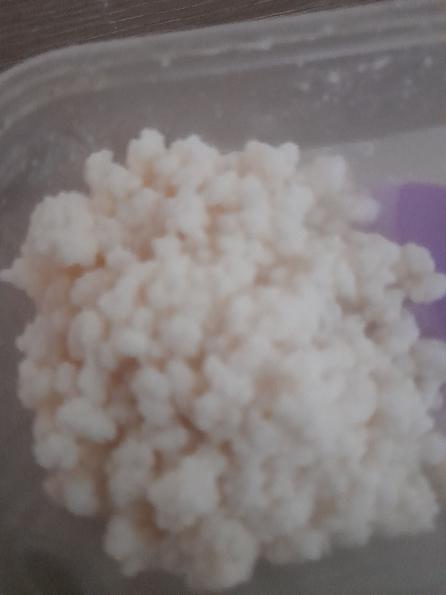 Vând ciupercă Kefir Tibetană