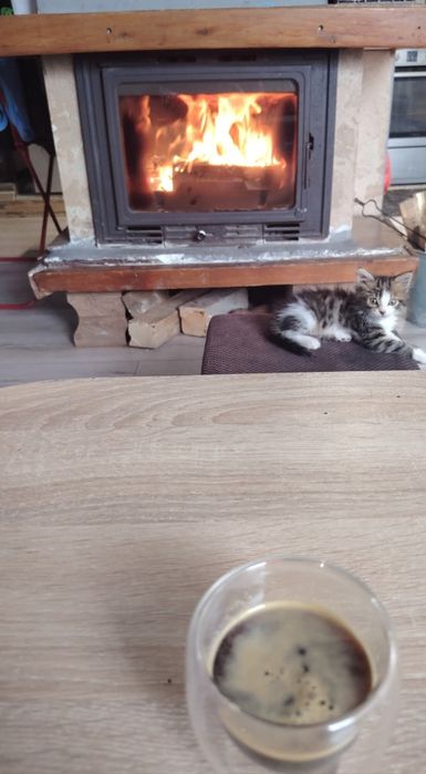 Подарявам бебе Рая