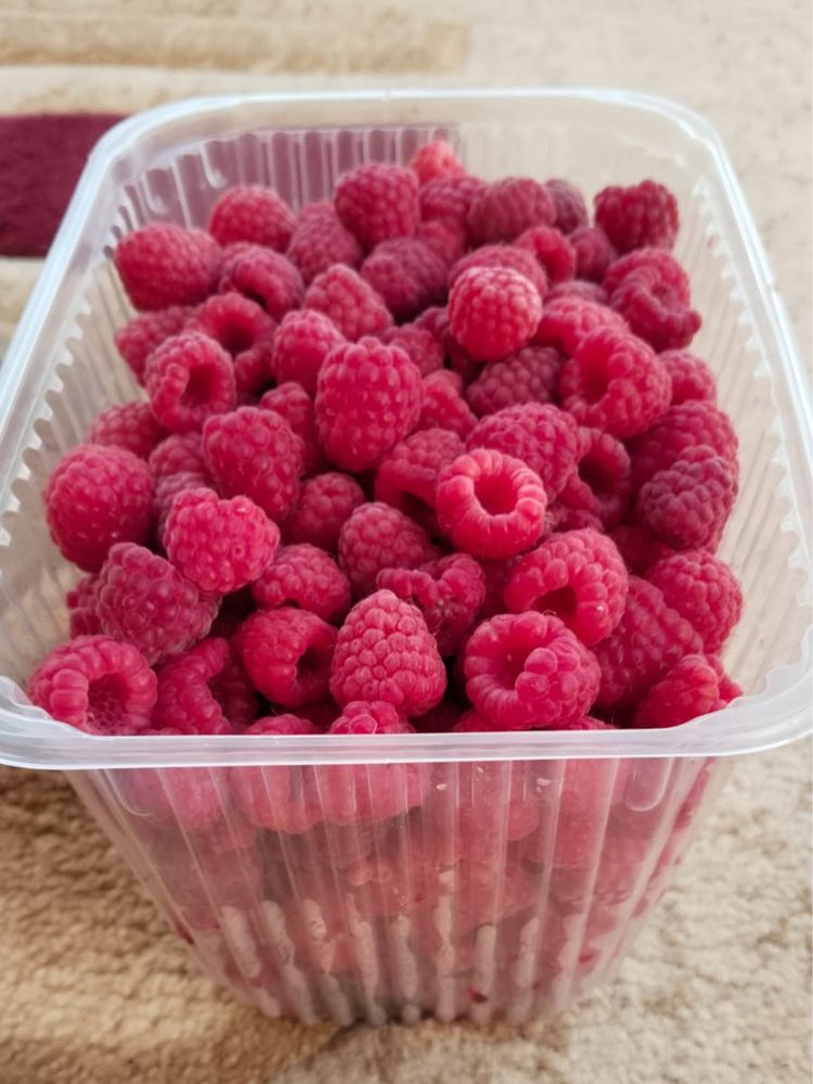 Продам домашнюю малину