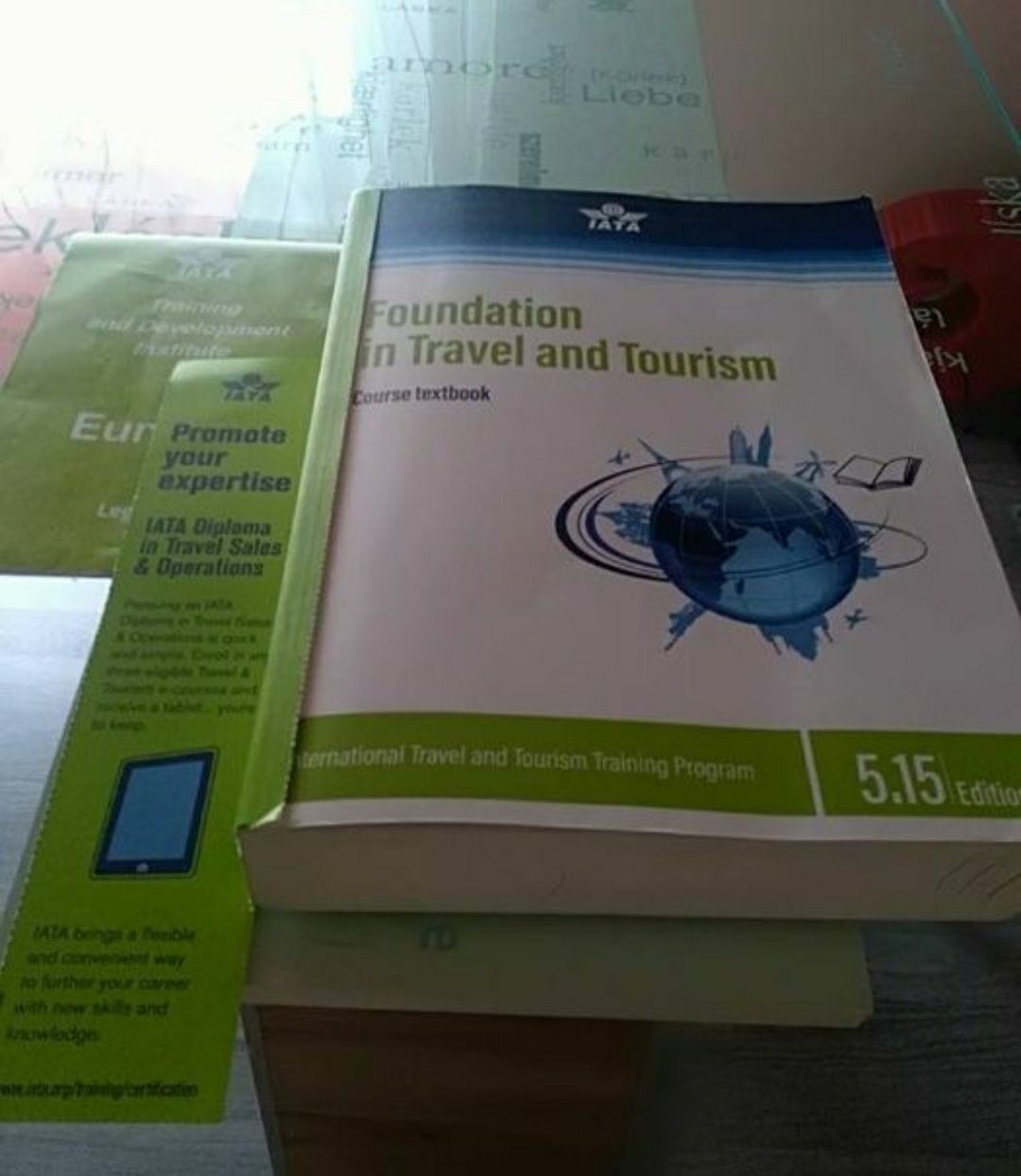 Учебник Foundation in Travel and Tourisme