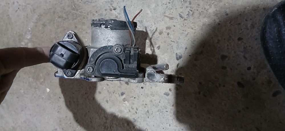 Zasulonka neksiya gibrid