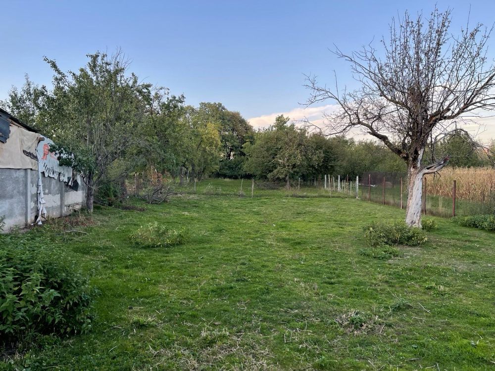 Casa cu gradina in zona de dealuri