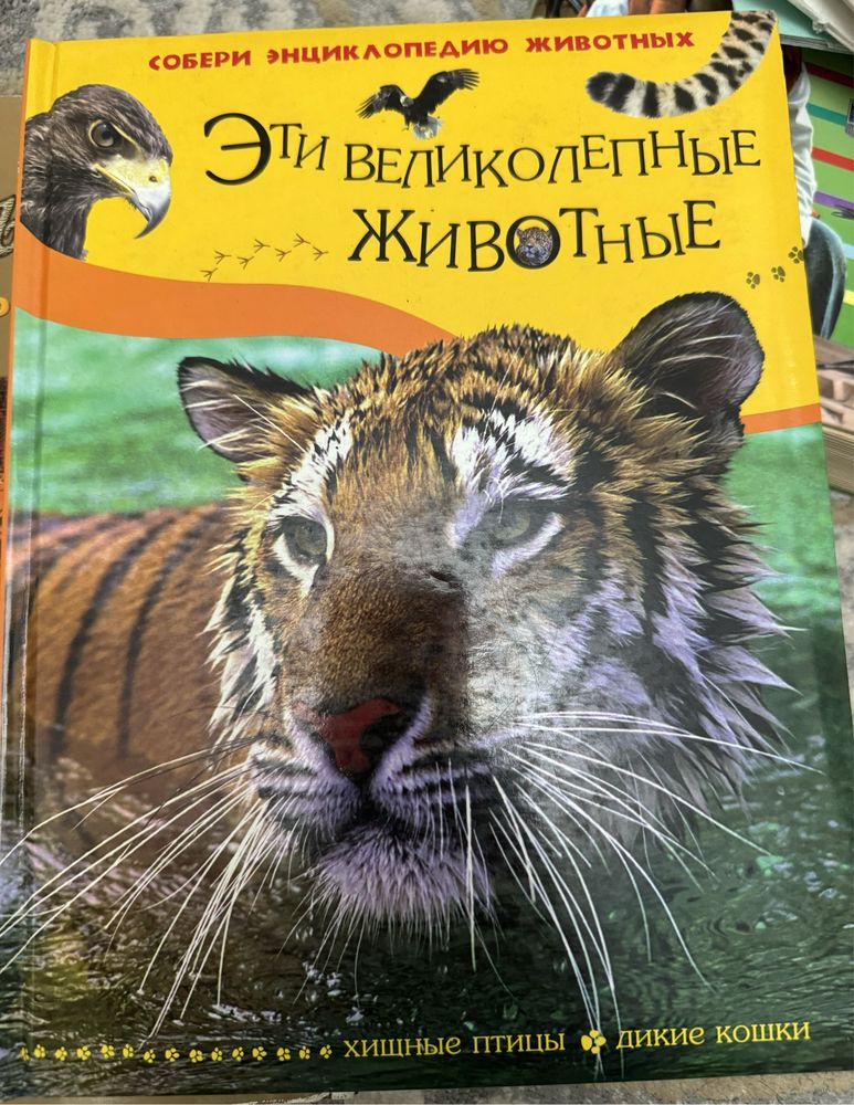 Эциклопедия о животных Эти необычные животные изд-во Росмэн Москва