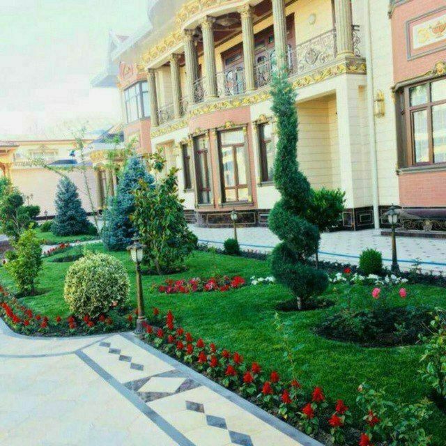 Gazon archa va gullar ekish xizmati va archa kesish