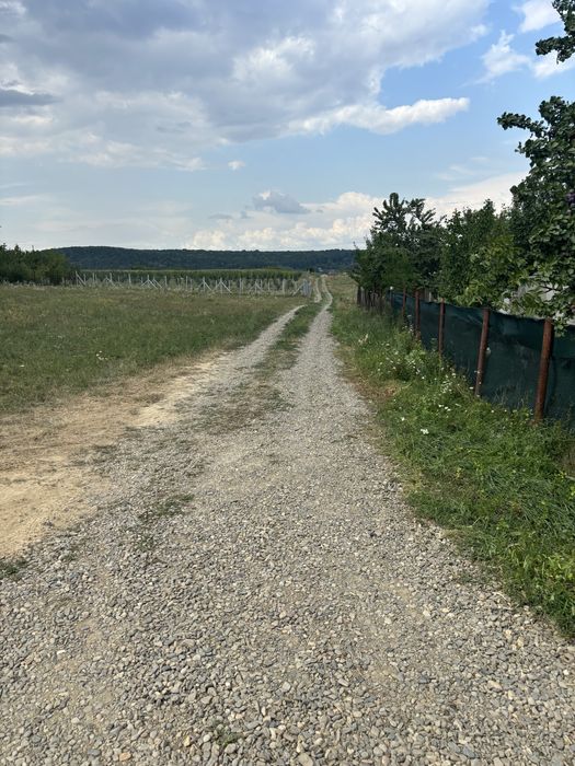 Teren în Agafton potențial investiție lângă șoseaua ocolitoare.