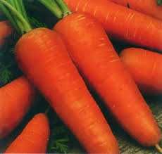 Семена моркови Новая Курода