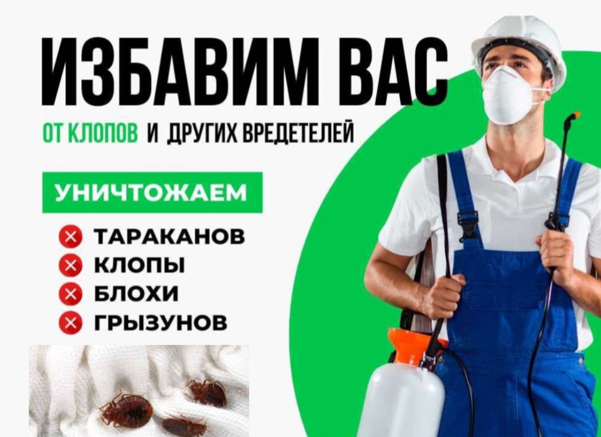Дезинфекция от тараканов