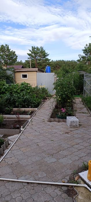 Продам дачный участок