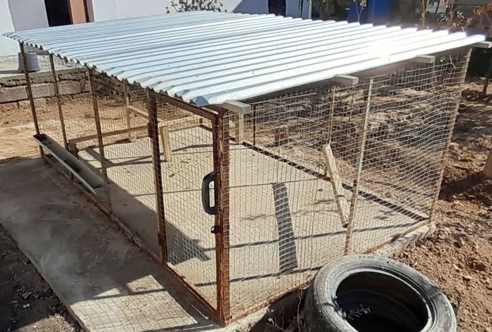 Катак товуклар учун