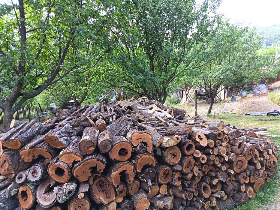 Lemn uscat de foc stejar, prun