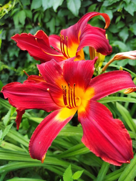 Поверхностная уборка качественно читайте внимательно