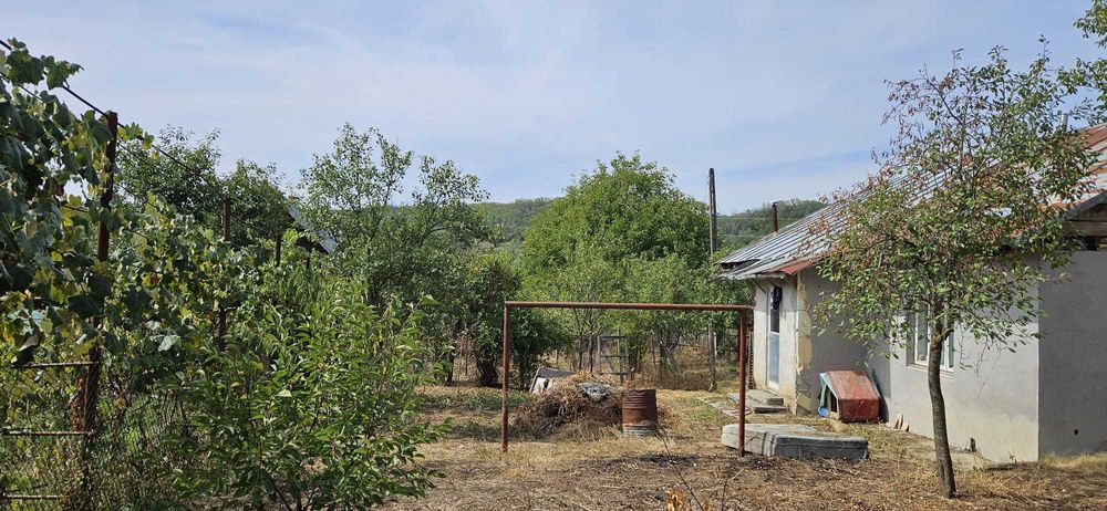 Teren intravilan + Casa, 1.450 mp - Schitu-Scoicesti, Argeș