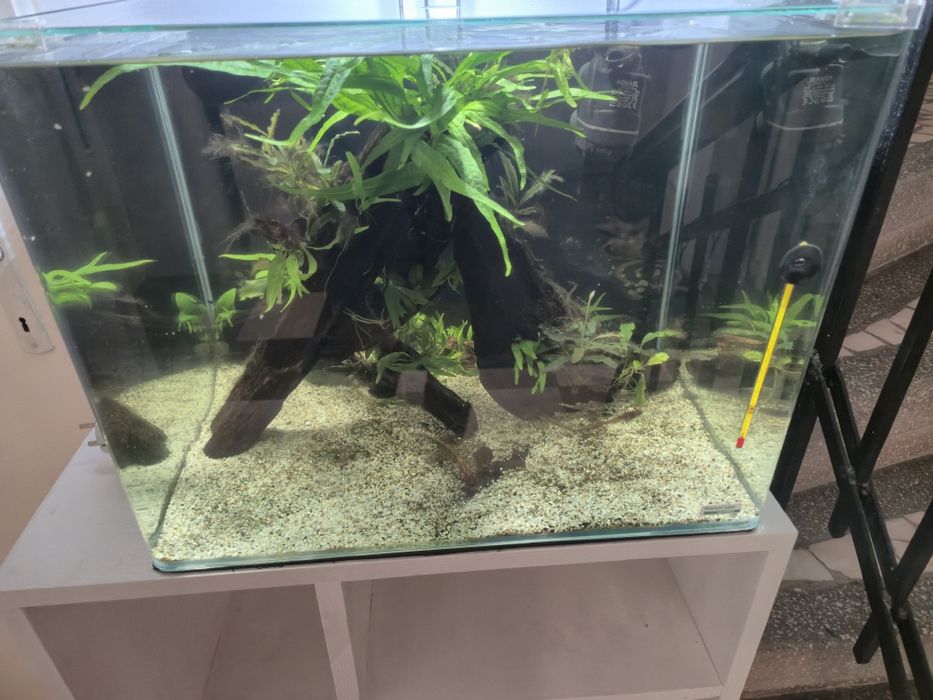 Acvariu Dennerle Nano Scapers Tank 55 l