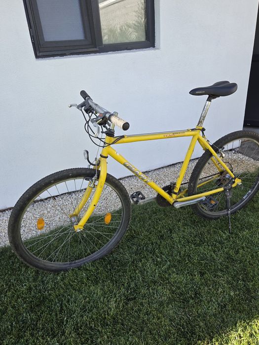 Bicicleta mountain bike