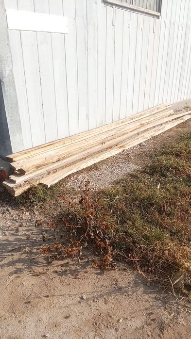 Агаштар колданбаган