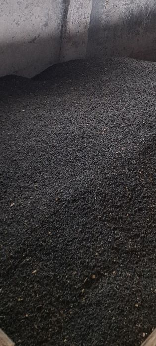 Vand floarea soarelui 2025