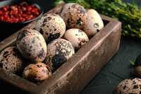 Домашние перепелиные яйца, Үйдің бөдене жұмыртқасы, жумыртка бодене