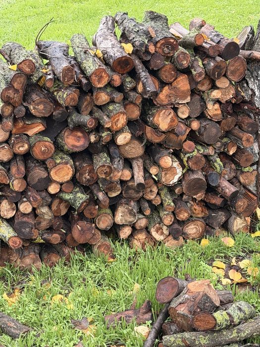 Vand 6 mc lemne taiate si sparte