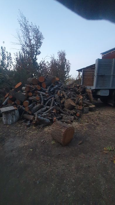 Отин сотилади яхщи отин