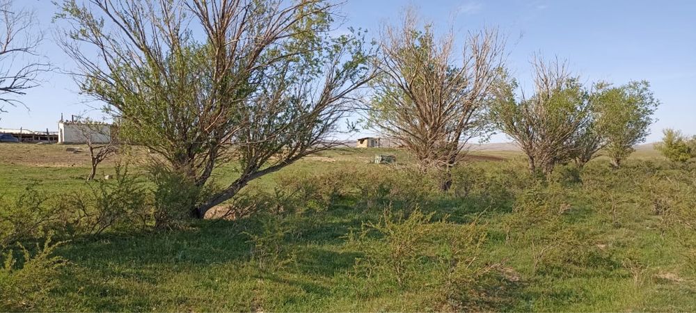 Продается фазенда