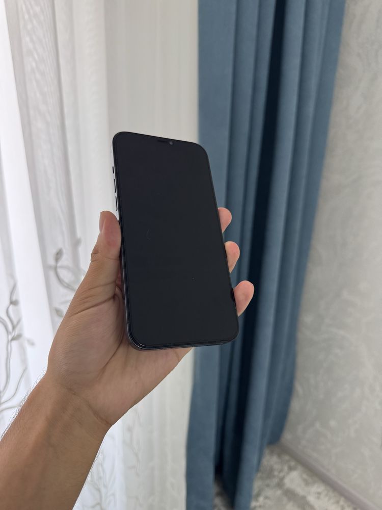 Iphone 12 Pro Max 256Gb