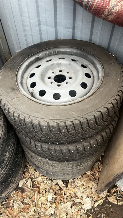 Ризина р14 зимний с шипами