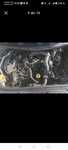 Compresor electromotor alternator topedo radiatoare megane 1.9 F9Q
