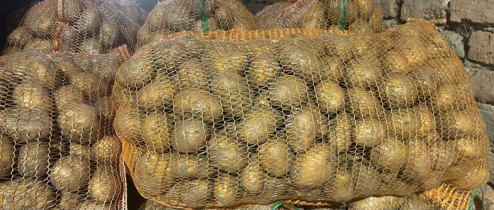 Vand cartofi consum si samanta