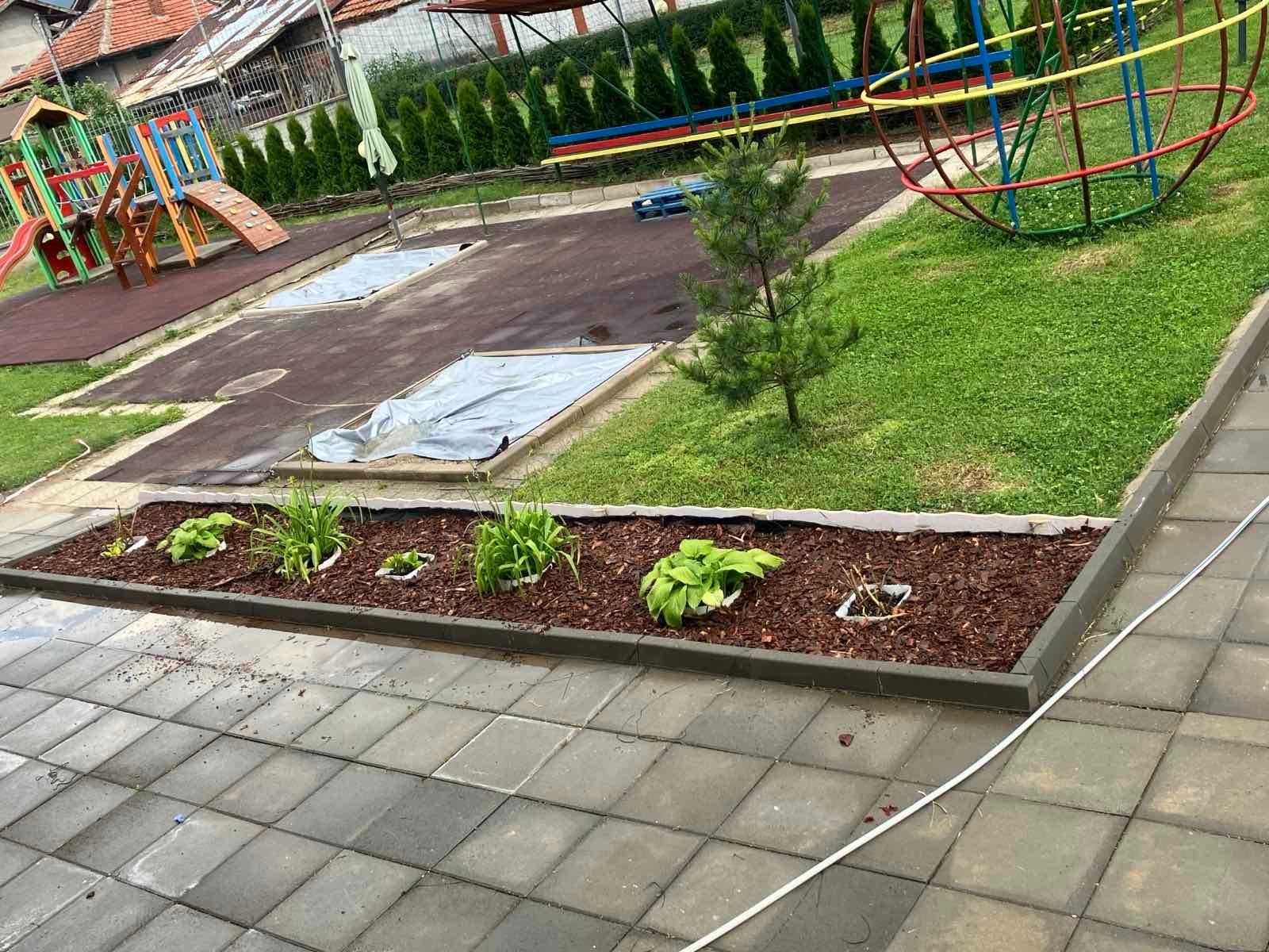 Мулч от борови кори