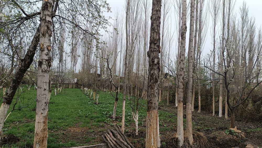 Продаётся земля 15 сотих в Платина малбазар