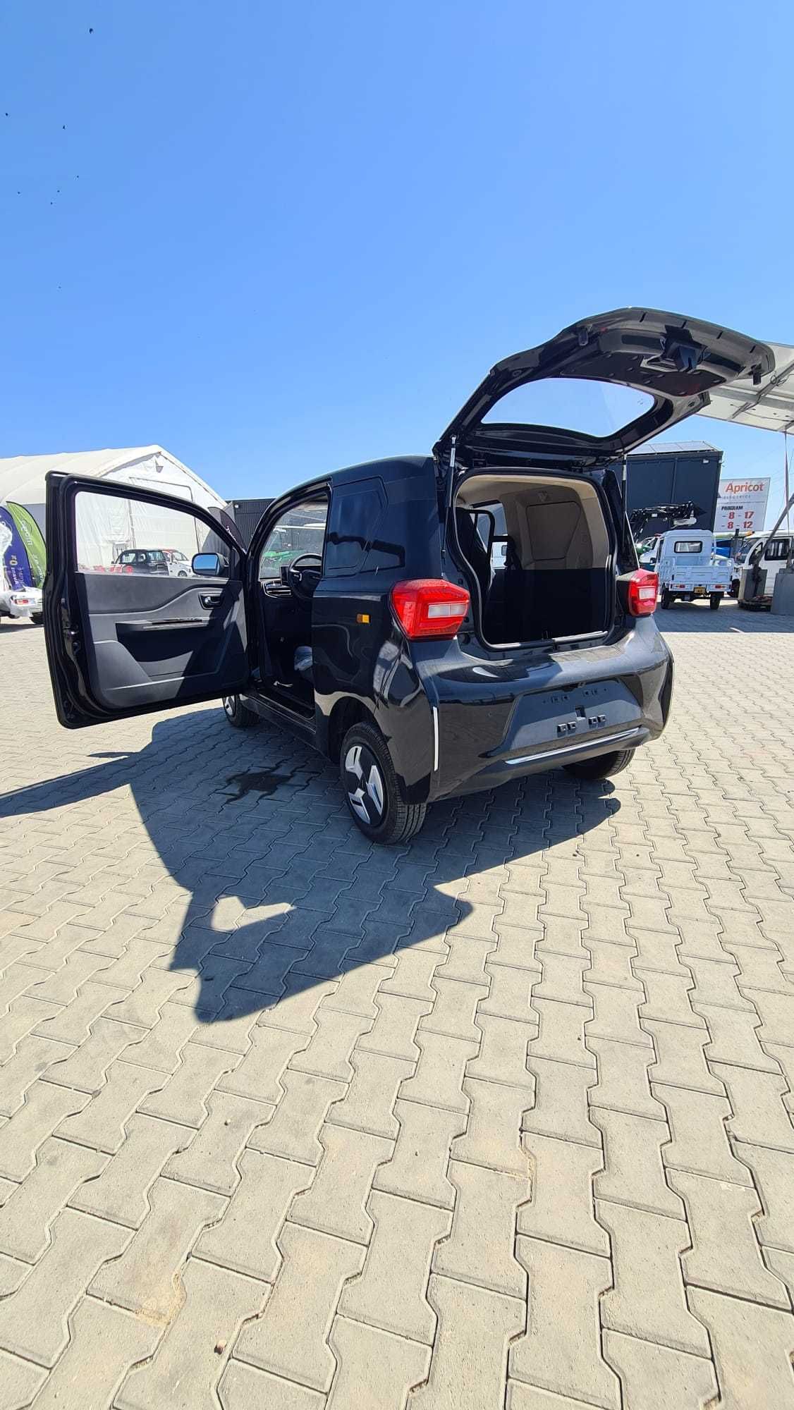 Masina electrica BAW