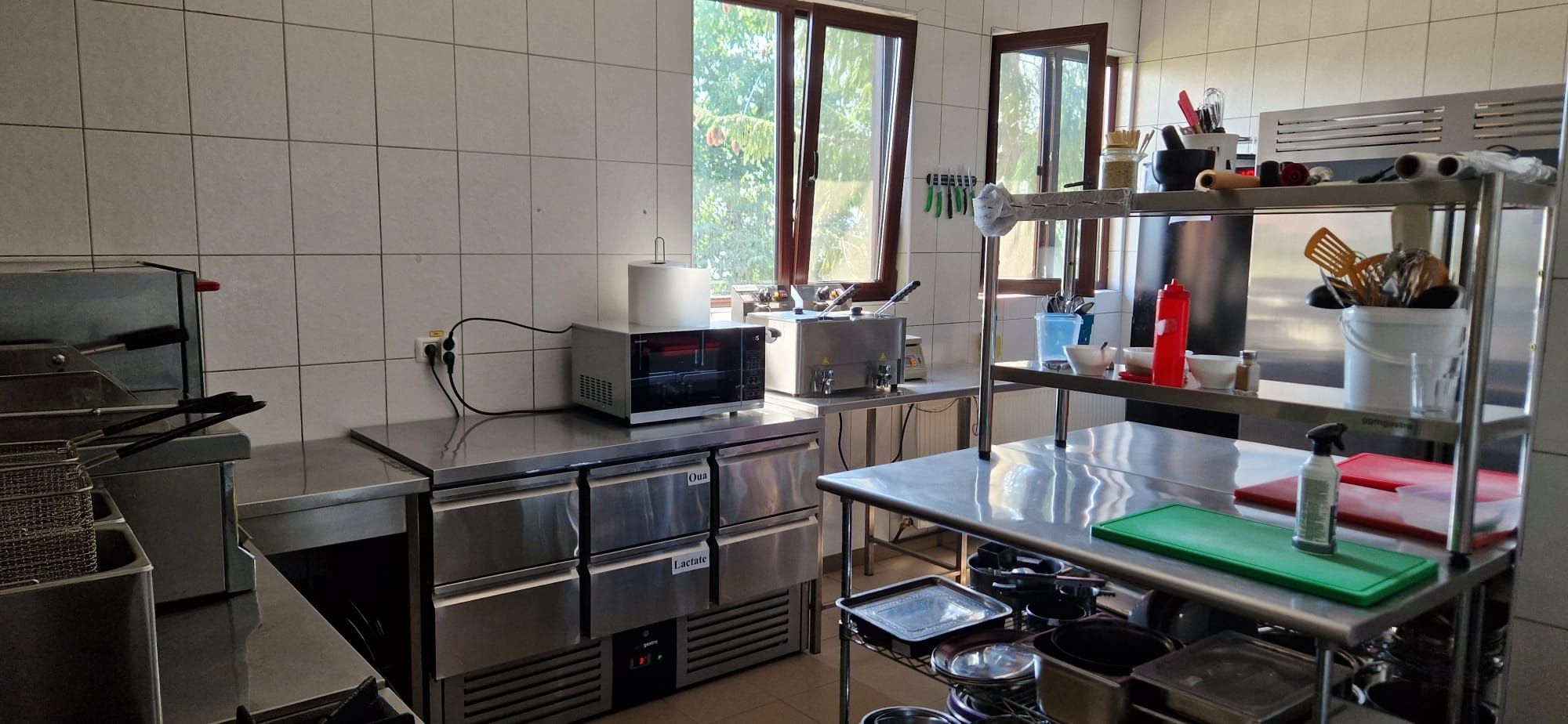 Restaurant, pensiune si casa pe malul lacului
