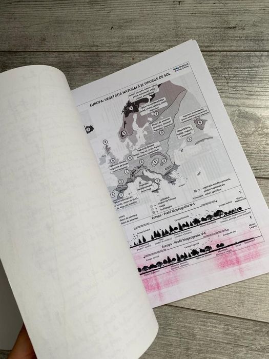 Materiale BAC filologie 2022