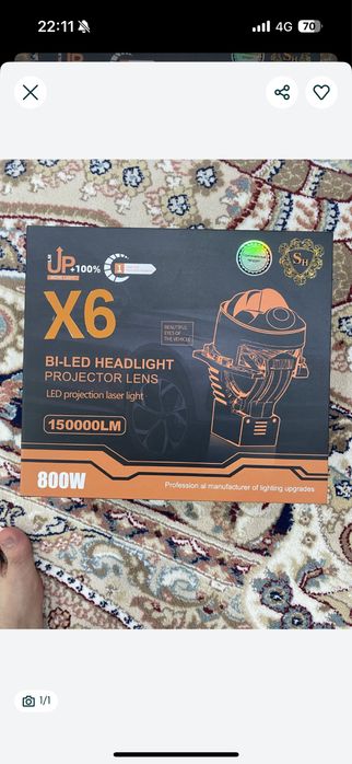 Би лэд обмен на породистый щенку