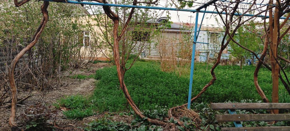 Продам дом 38м2 с участком 8.5 соток