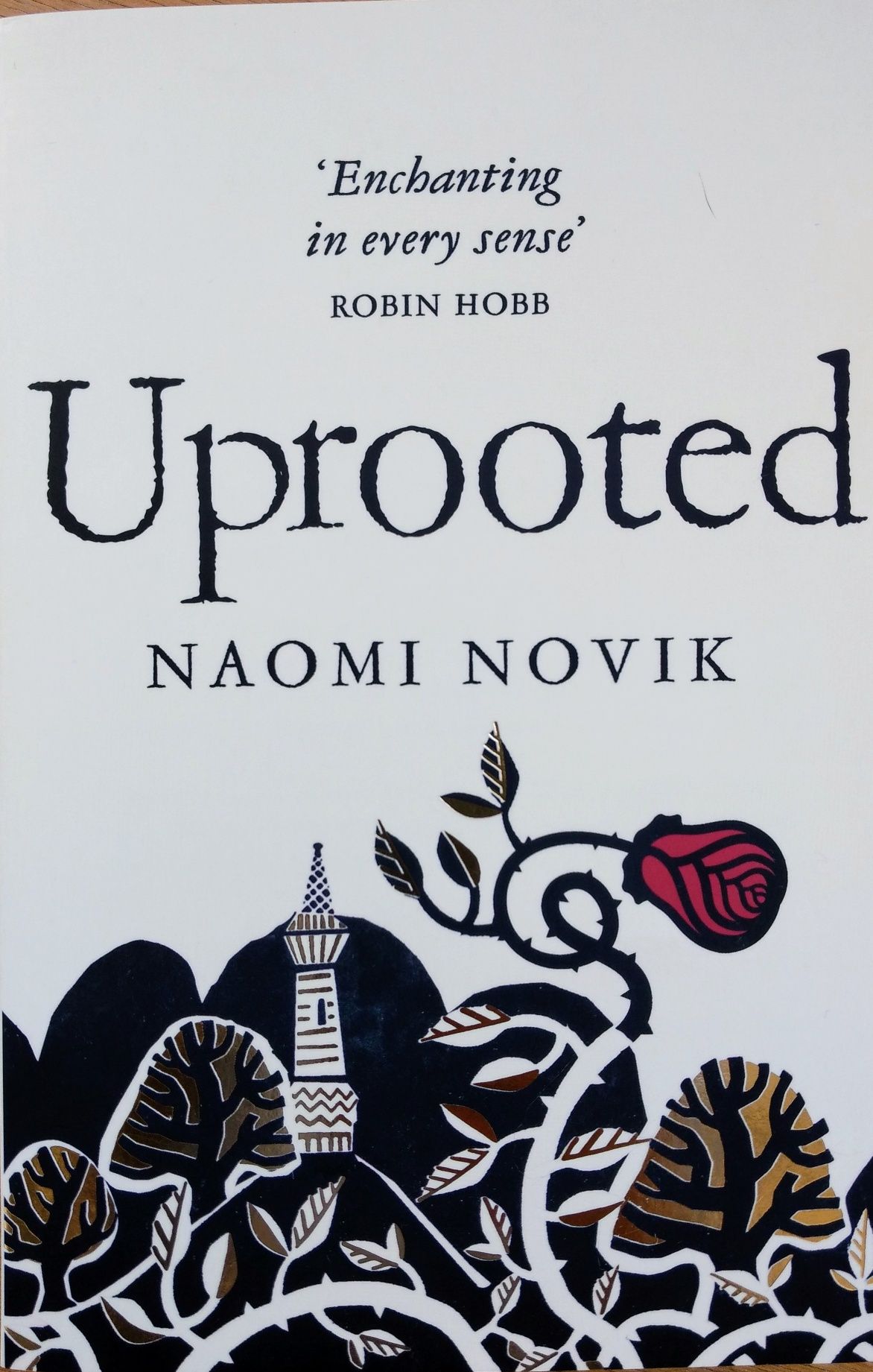 Uprooted de Naomi Novik
