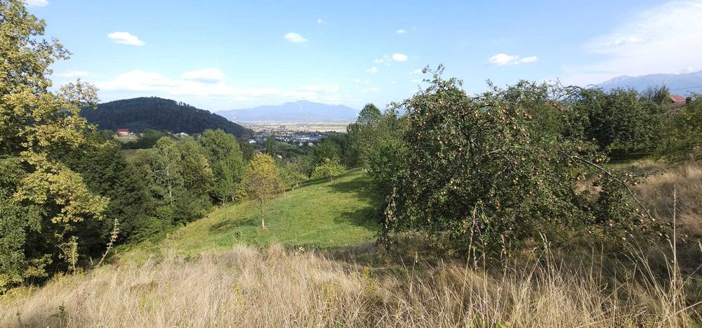 Teren Zarnesti (zona Pleasa), PUZ, 26 euro mp