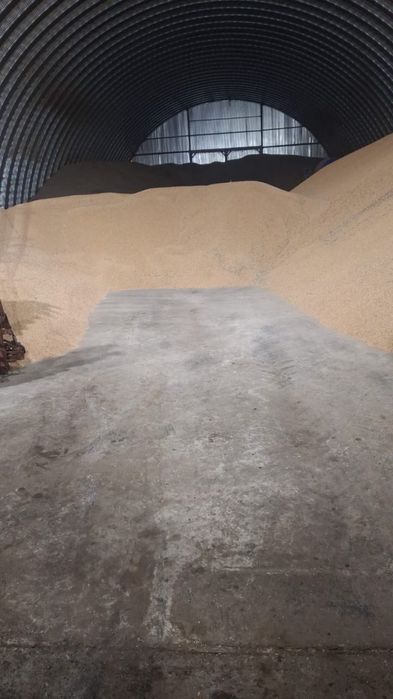 Продажа пшеницы, подсолнечника